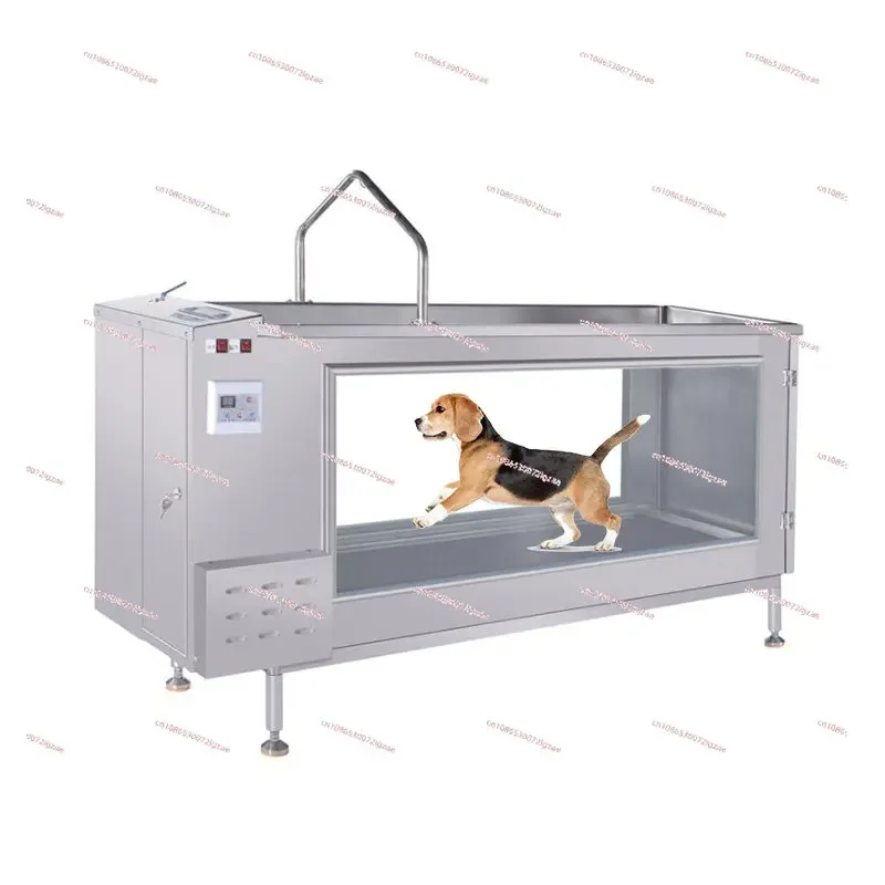 Pet Training Equipment Dogs Electric Hydrotherapy Walking Machine Pet Underwater Treadmill For Pet Clinic And Animal Hospital