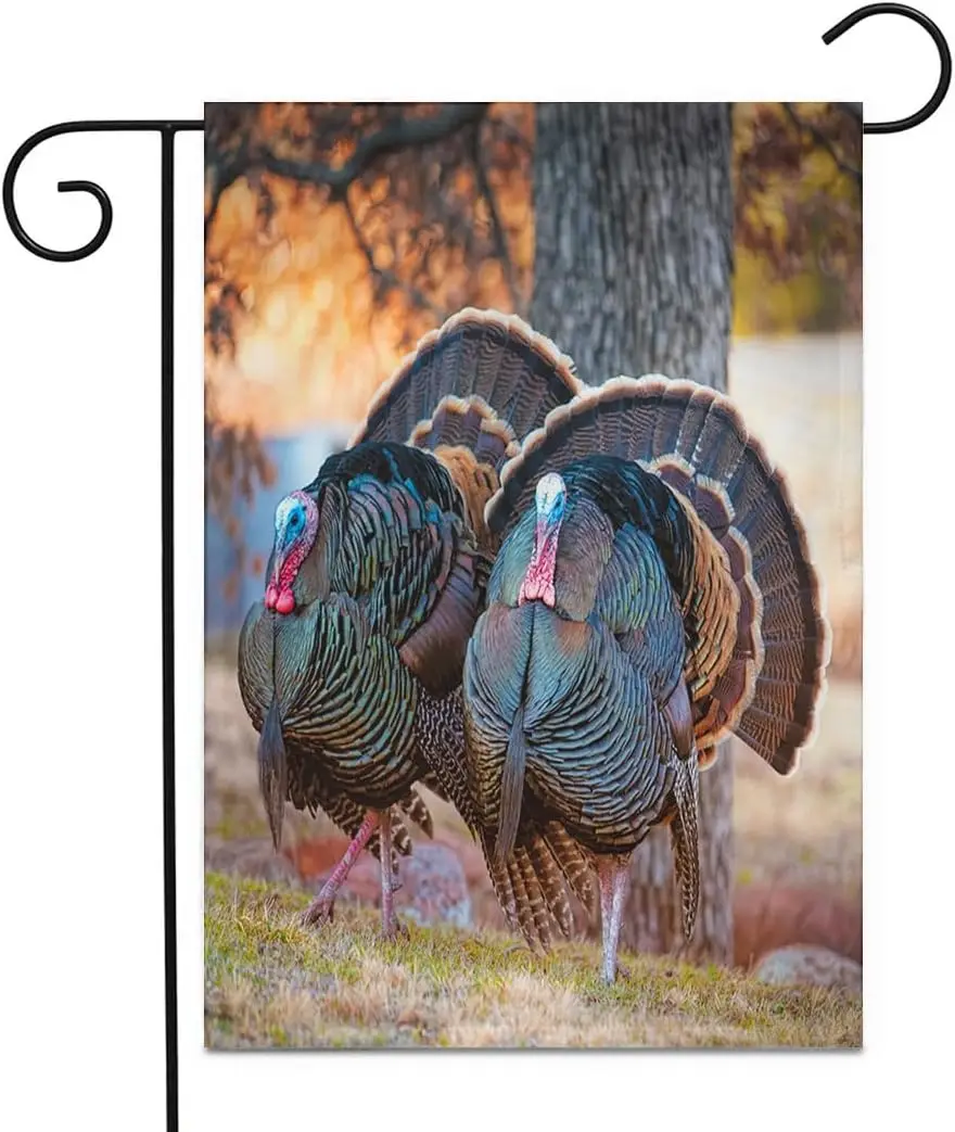 Ansouyi Two Turkeys Strutting on Grassy Garden Flag 12