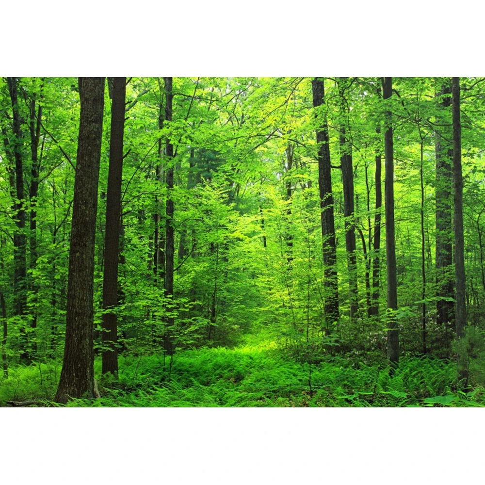 Spring Green Forest Backdrops For Photography Baby Shower Adventure Camping Room Wall Decor Backgrounds Photo Photographic Props