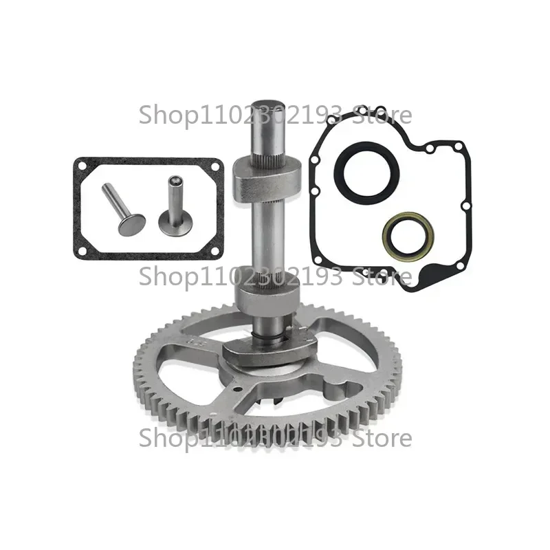 84005207 793880 Camshaft Replacement Kit for Brigg & Stratton 793583 792681 791942 795102