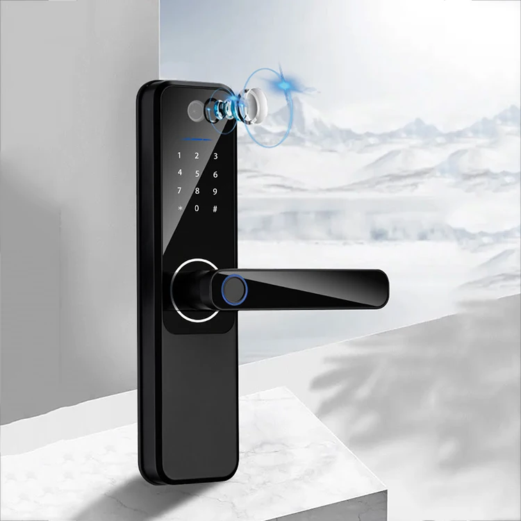 QLEUNG S802 Waterproof IP65 Camera Peephole Handle Lock Smart door lock Tuya TTLOCK app Fingerprint Password Wifi door Locks