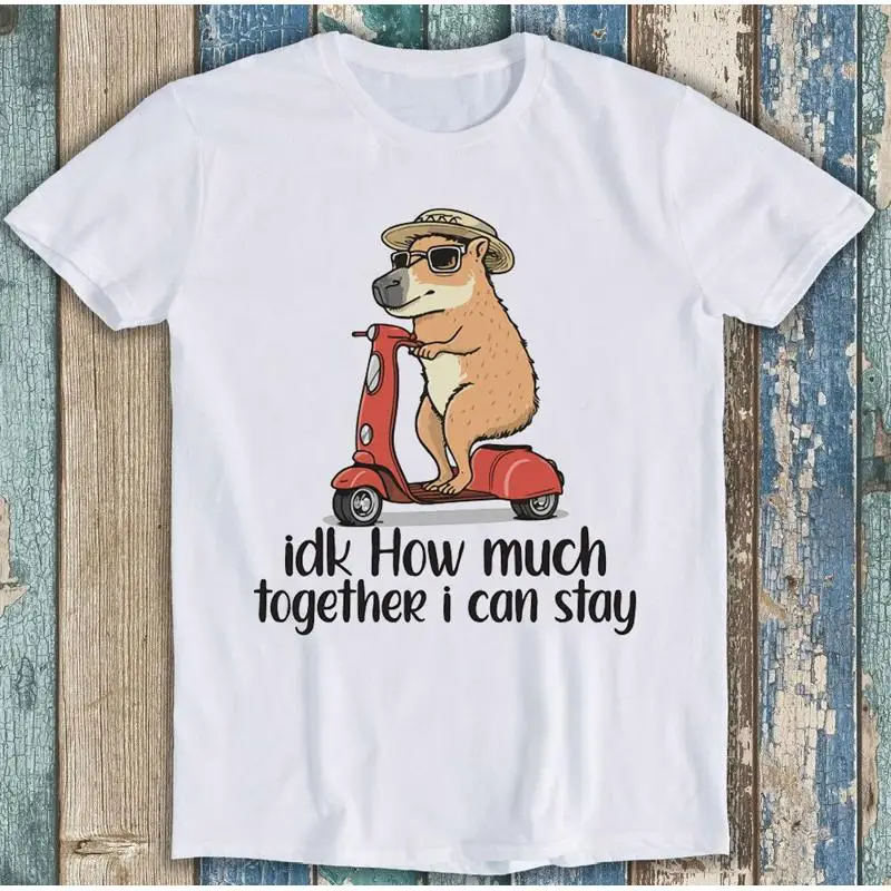 Idk ¿Cuánto juntos puedo ficar Capybara Meme camiseta divertida 1868
