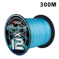300m