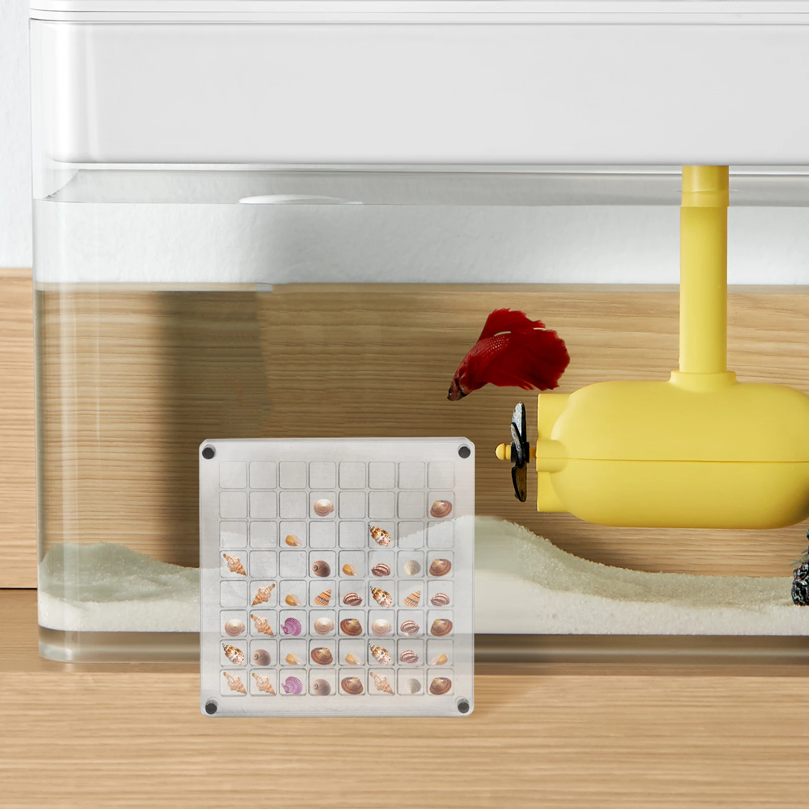 

Transparent Acrylic Seashell Organizer Holes Multi-Grid Storage for Stones Jewelry Craft Seashell Display Box