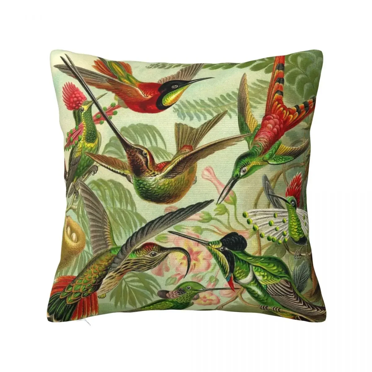 Colibri - Ernst Haeckel Pillowcase Cushion Cushion Pillowcase Anime Pillow Home Decor Accessories Customizable