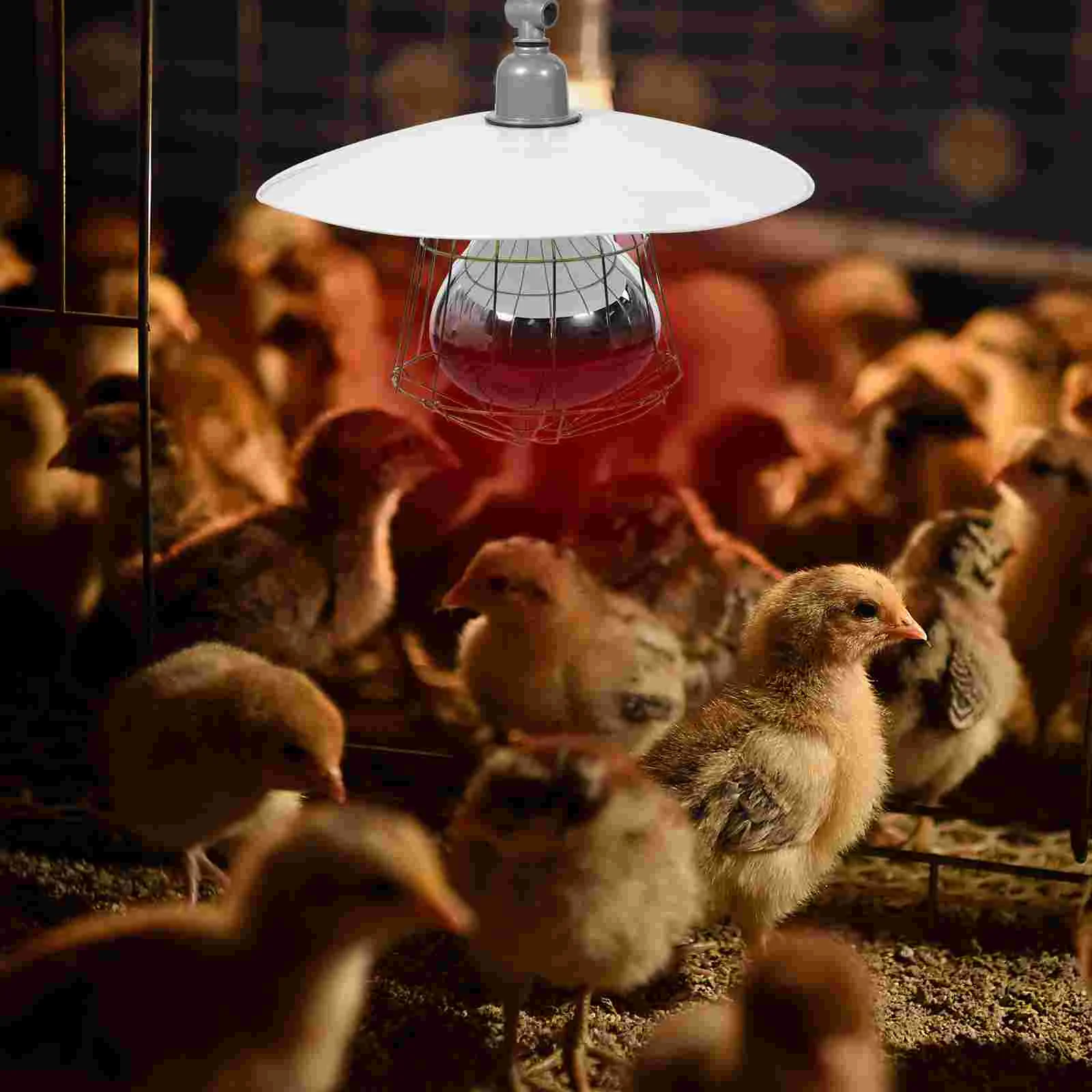 Heat Lamp Set Pet Heating Livestock Warming Durable Cage Baby Playpen Metal Reptile Supply Incubator Accessory