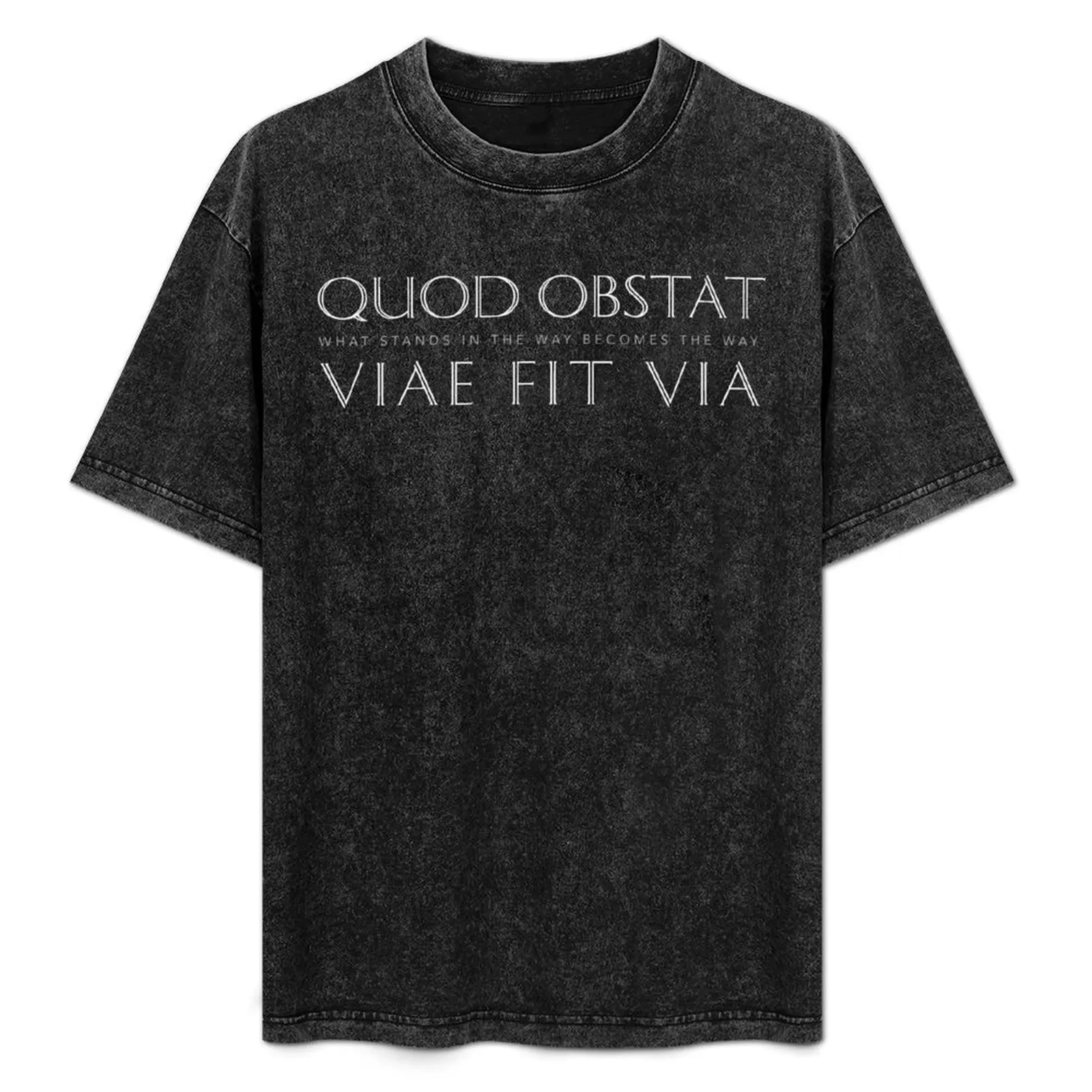 

Вдохновляющая латинская цитата: Quod Obstat Viae Fit Via (When The Obstacle Becomes The Way) Футболки, мужские забавные футболки