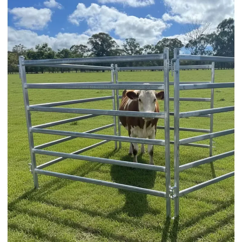 Best-selling Heavy-duty Hot Dip Galvanized Eco-Friendly Waterproof Cattle Pen Panels 8-foot Livestock Fence Panels