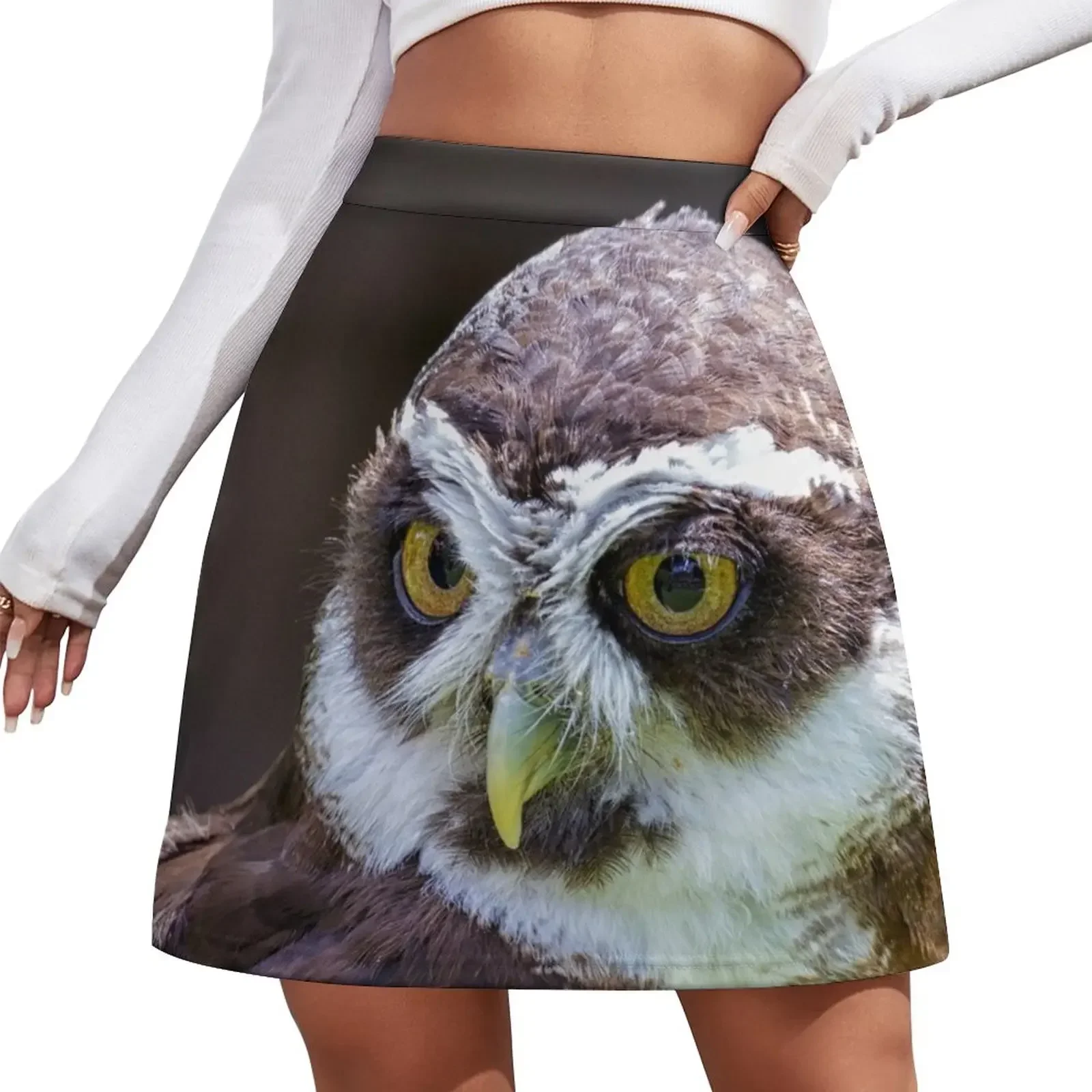 

Spectacled Owl Mini Skirt Woman skirt 90s aesthetic fairy grunge