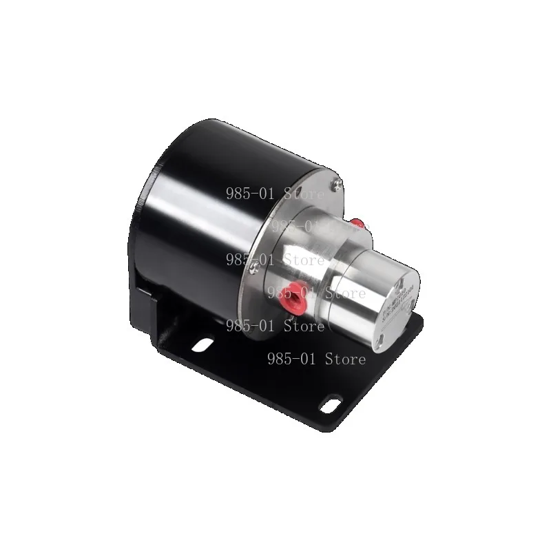 Stainless Steel Micro Metering Pump, Self-Priming Magnetic Drive Gear Pump for Printing, Diesel, Coffee Machine & Inkjet Printer