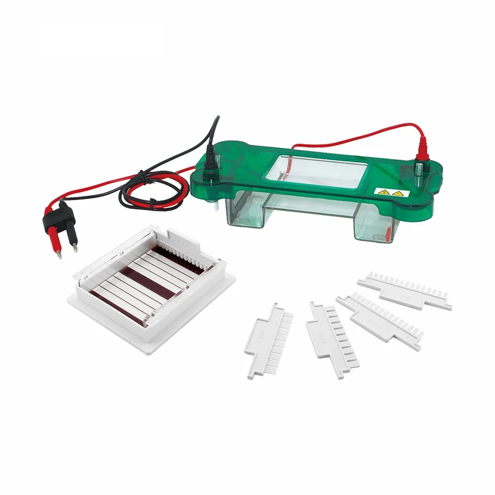 

DW-SPBT Horizontal Gel Electrophoresis Chamber Electrophoresis Machine