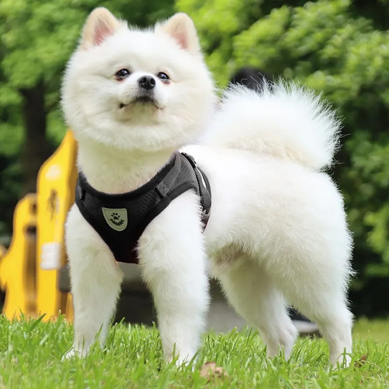 Pet Leash Undershirt Type Harness Breathable Reflective Adjustable Chest Harness Outdoor Dog Carrying Supplies