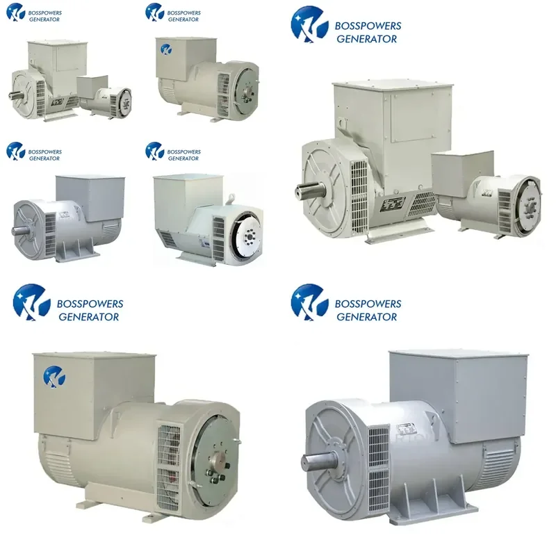 Stanford Generator Technology 100% Prime Output SAE Standard Single or Double Bearings Pure Copper AC Brushless Alternator
