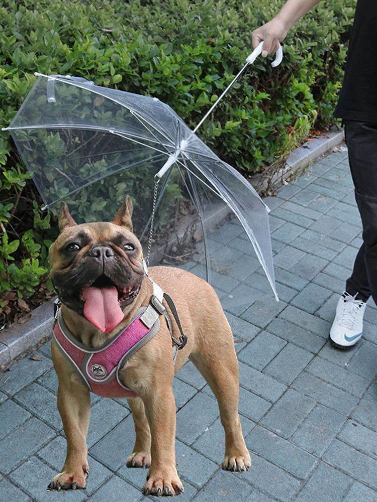 【SSummer10】New Pet Umbrella Leash Rainproof Snowproof Dog Umbrella Leash For Small Dogs Adjustable Doggy Umbrella【SS】