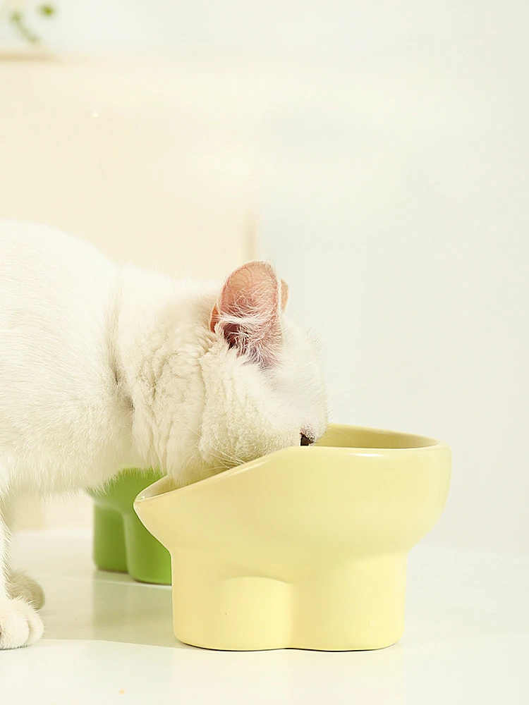 Ceramic Cat Food Bowl Large Diameter Cat Food Holder Eating and Drinking Rice Bowl Anti-Tumble Pet Supplies