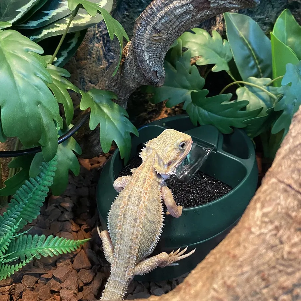 Reptilien Chamäleon Cantina mit Snacks Trog, Trinkbrunnen Wasser tropfer für Amphibien Insekten Eidechse uns Plug