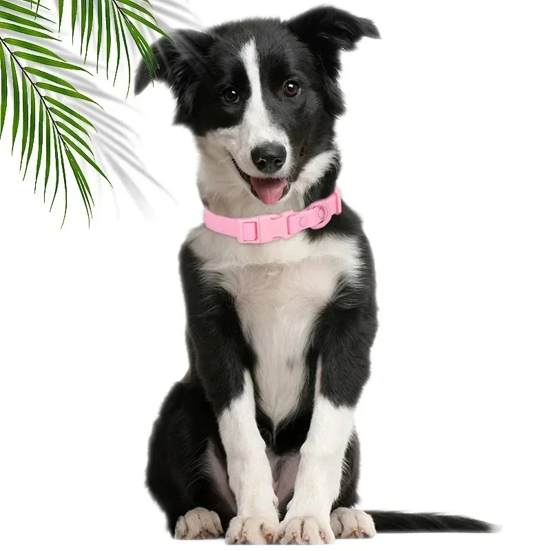 Neues Macaron-farbiges PVC-Hundehalsband, wasserdicht, schmutzabweisend, leicht zu reinigen, Haustierhalsband, verstellbares Halsband, Haustier-Hundehalsband – Detail 13