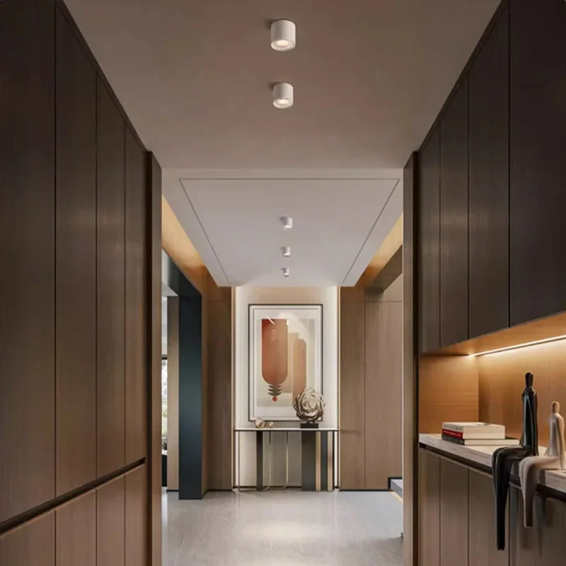 

Обзор человеческого тела, коридор, потолочный светильник, прожектор, лампы для прохода, входа, гардеробной, спальни, прихожей, лестницы, внутреннее освещение