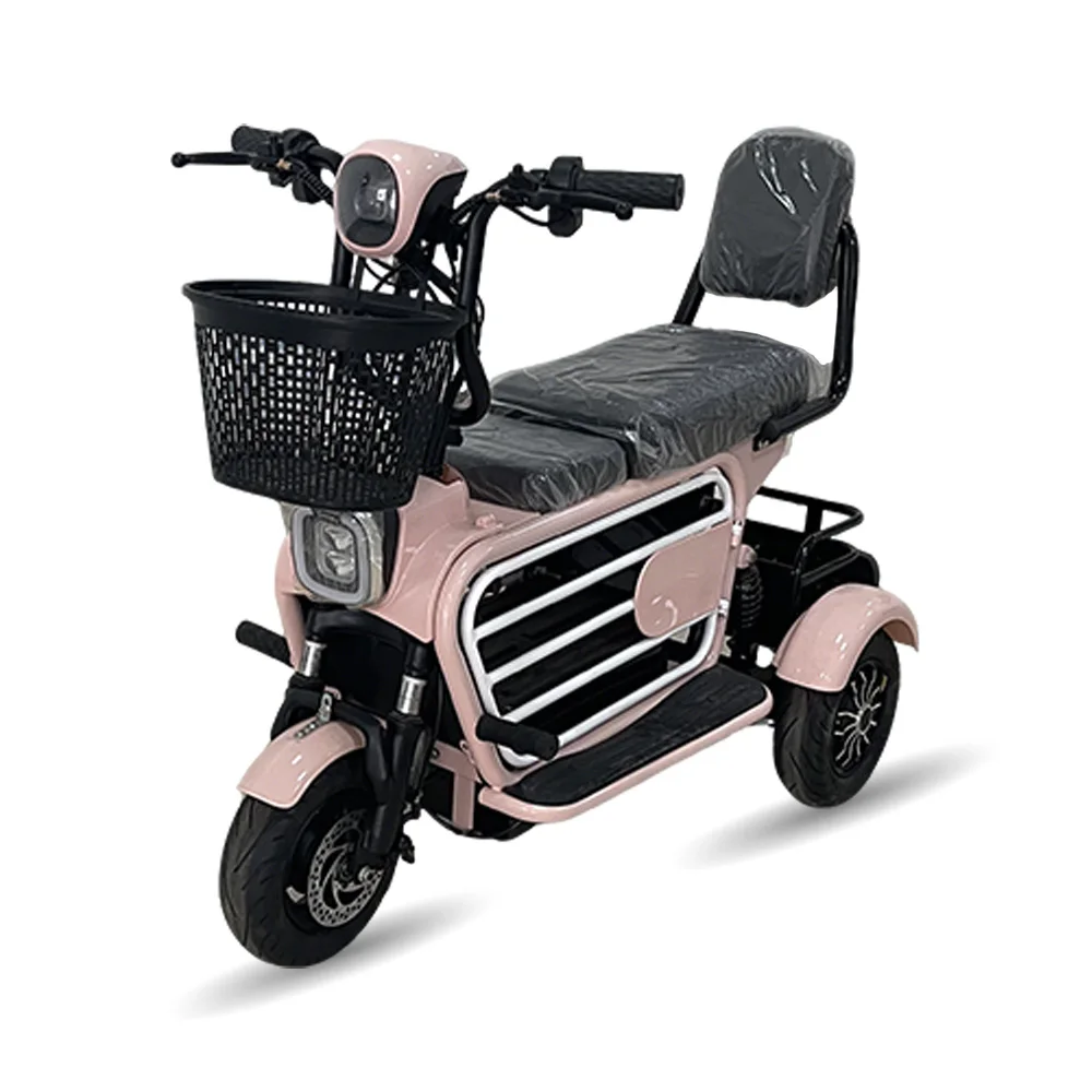 Holladay 48v 250w Electric Tricycle Dual-Seater Front Motorized Multi-purpose Trike 48v Motorcycle 3 Wheel Folding Ebike