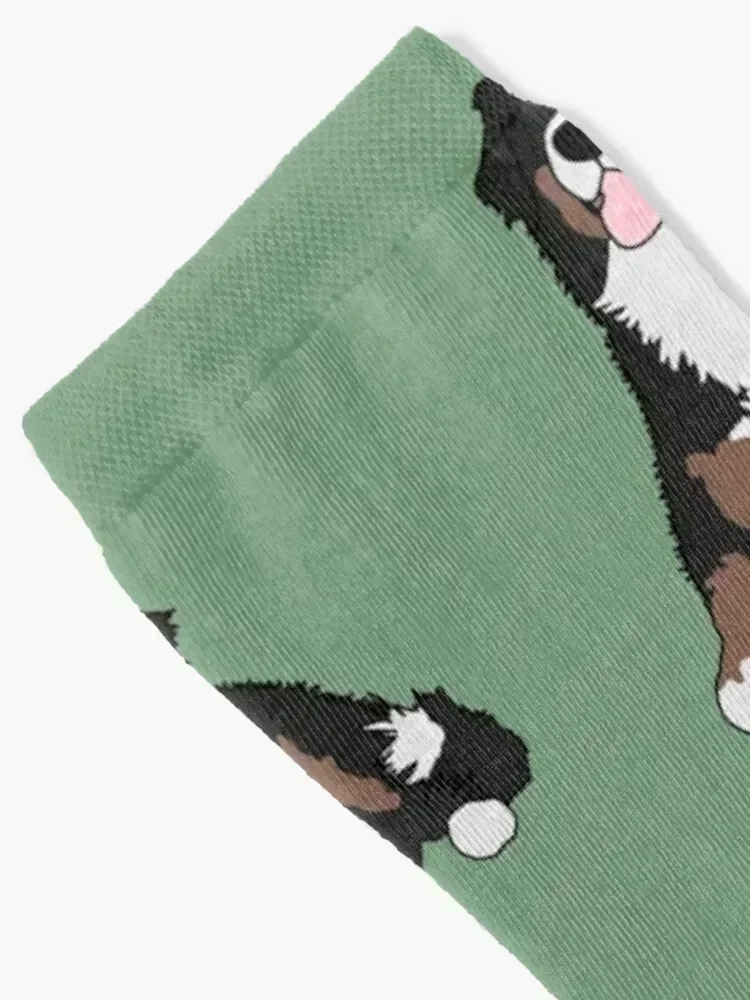 Bernese Mountain Dog Socks loose gifts Socks Women Men's