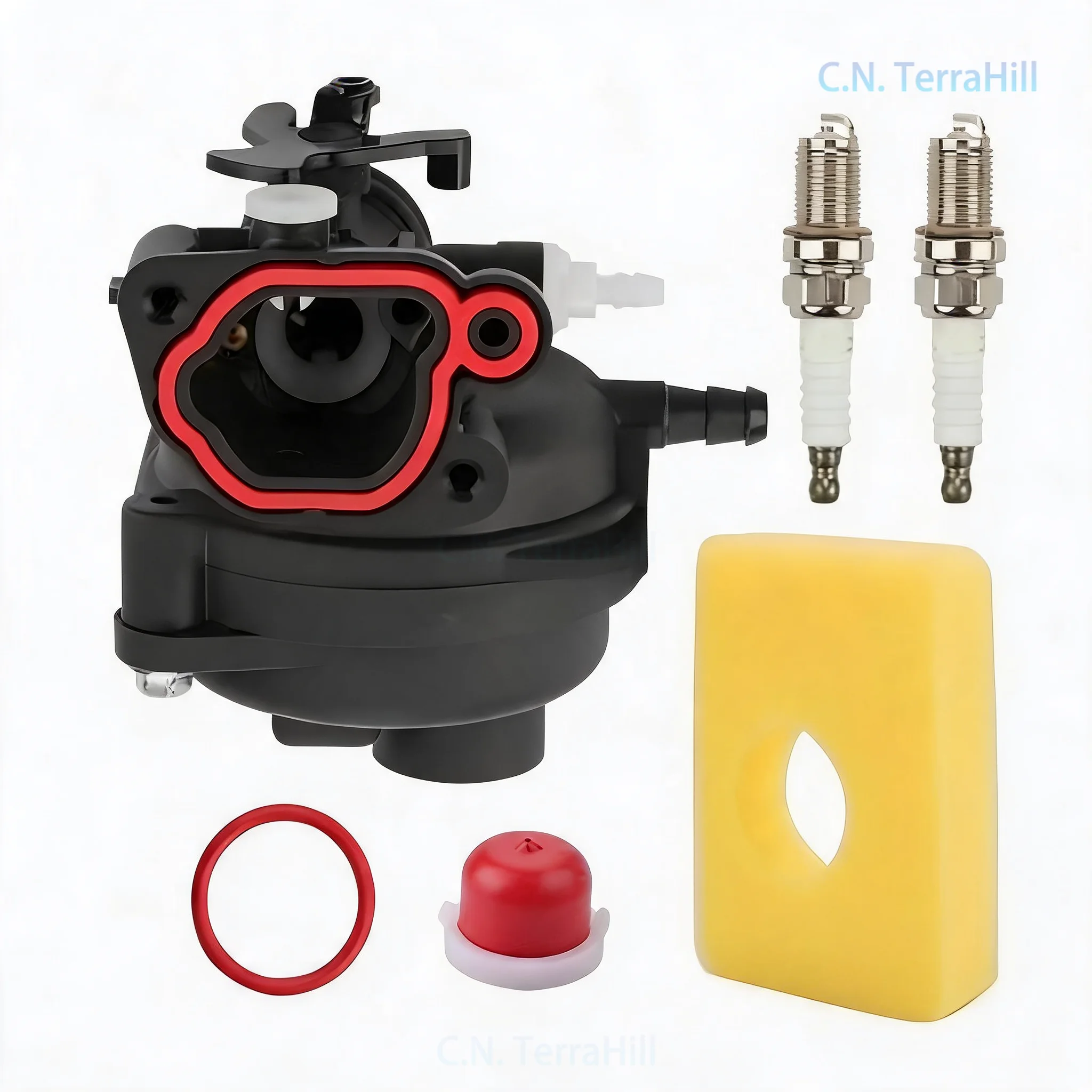 Carburetor Compatible with 799583 593261 595656 591979 591160 300E 450E