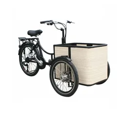 Mini bici da carico Mobile elettrica triciclo per adulti carrello della spesa Trike che trasporta bambini bambini animali domestici cane Bakfiets