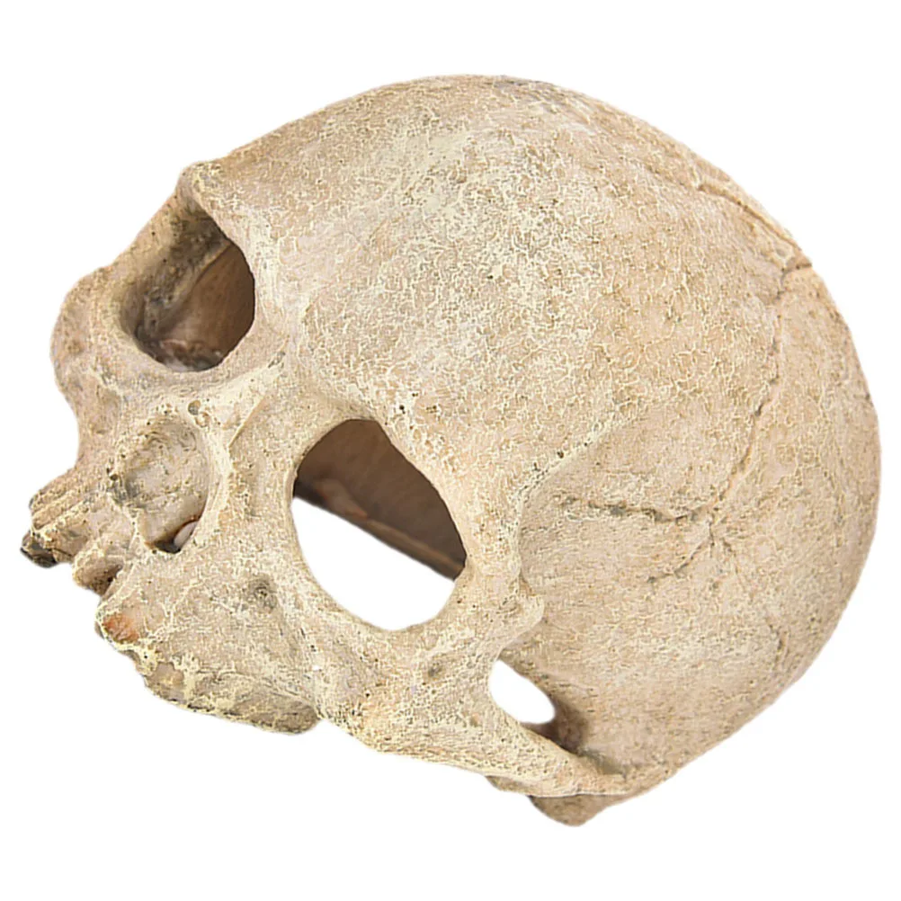 

Durable Resin Skull Aquarium Ornament Fish Tank Decoration Fish Shrimp Hideout Skull Cave Aquarium Decor Shrimp Hide Places