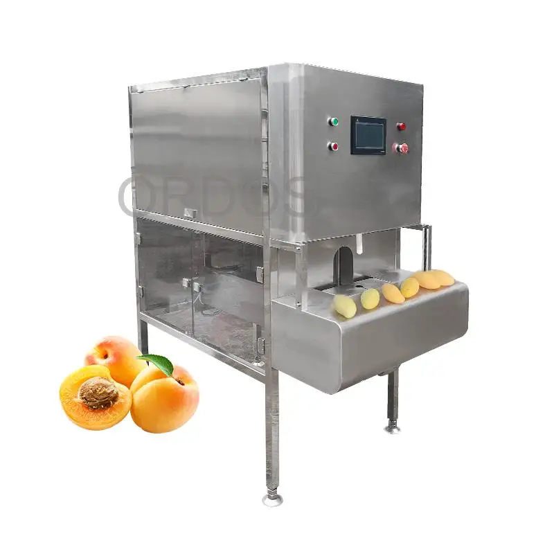 Electric Persimmon Pineapple Mango Apple Dragon Fruit Tangerine Remover Coring Peeler Ananas Peeling Machine