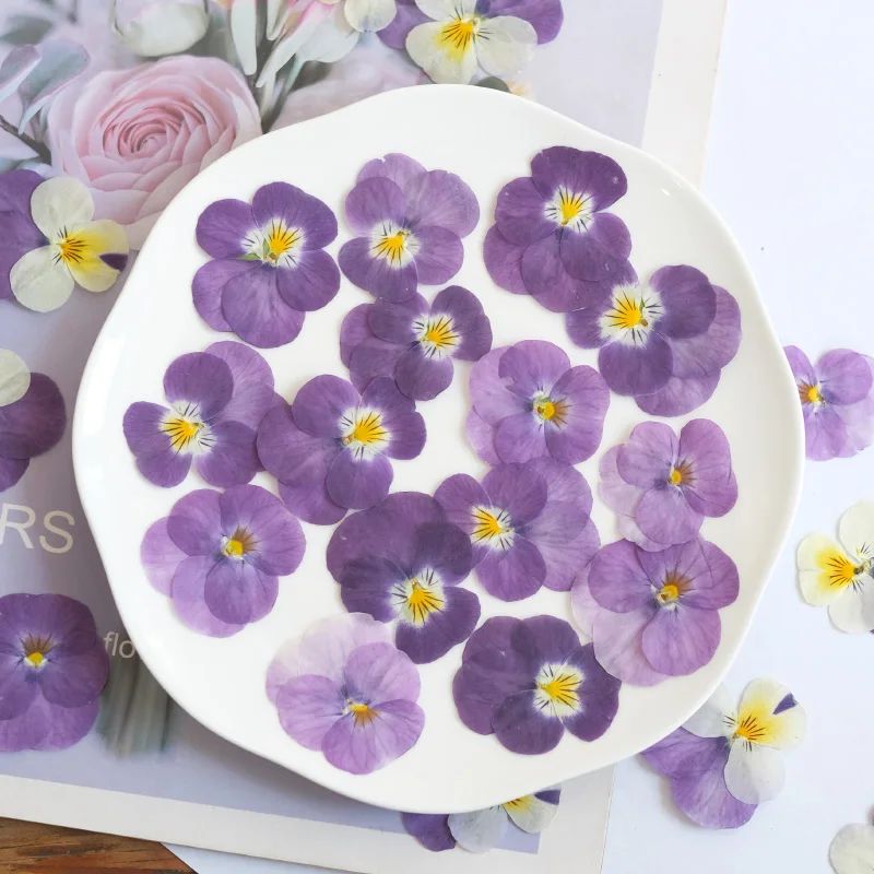 12 قطعة ، الطبيعة بانسي المجففة زهرة تنقش DIY بها بنفسك الايبوكسي جراب المحمول الجمال مسمار المواد زهرة إطار صور الزخرفية بتلات ماكياج