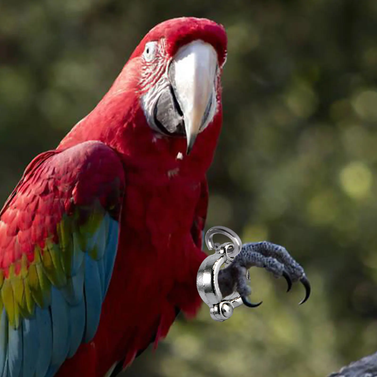 6 قطعة حلقات قدم الببغاء من الفولاذ المقاوم للصدأ متعددة الوظائف لتدريب الطيور حلقات سلسلة للقدم مقاومة للصدأ خفيفة الوزن للطيران في الهواء الطلق