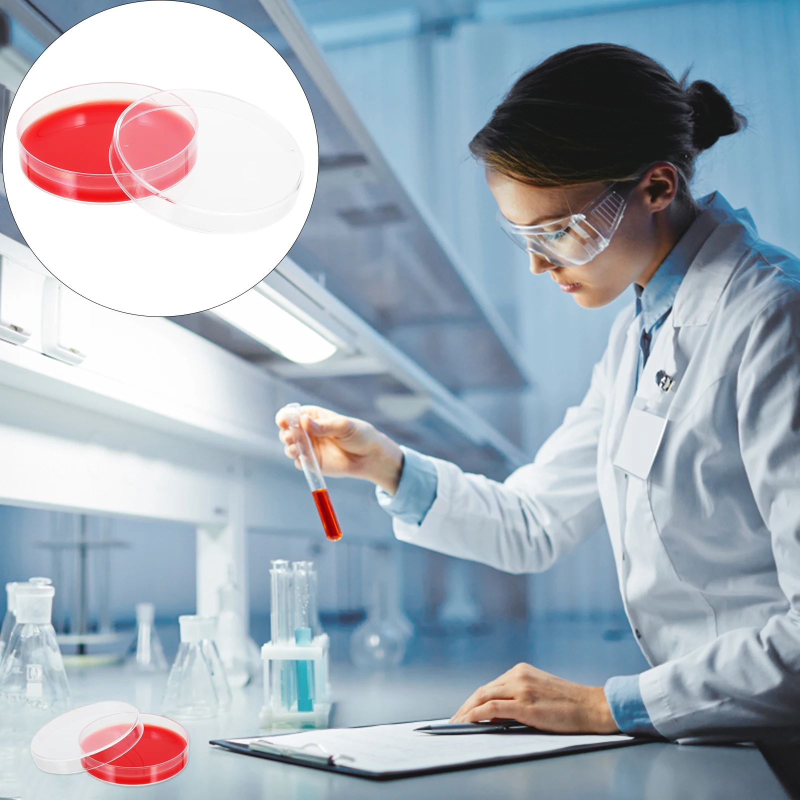 

10 Pcs Blood Agar Medium Laboratory Science Experiment Plates Labs Petri Bulk Prepoured