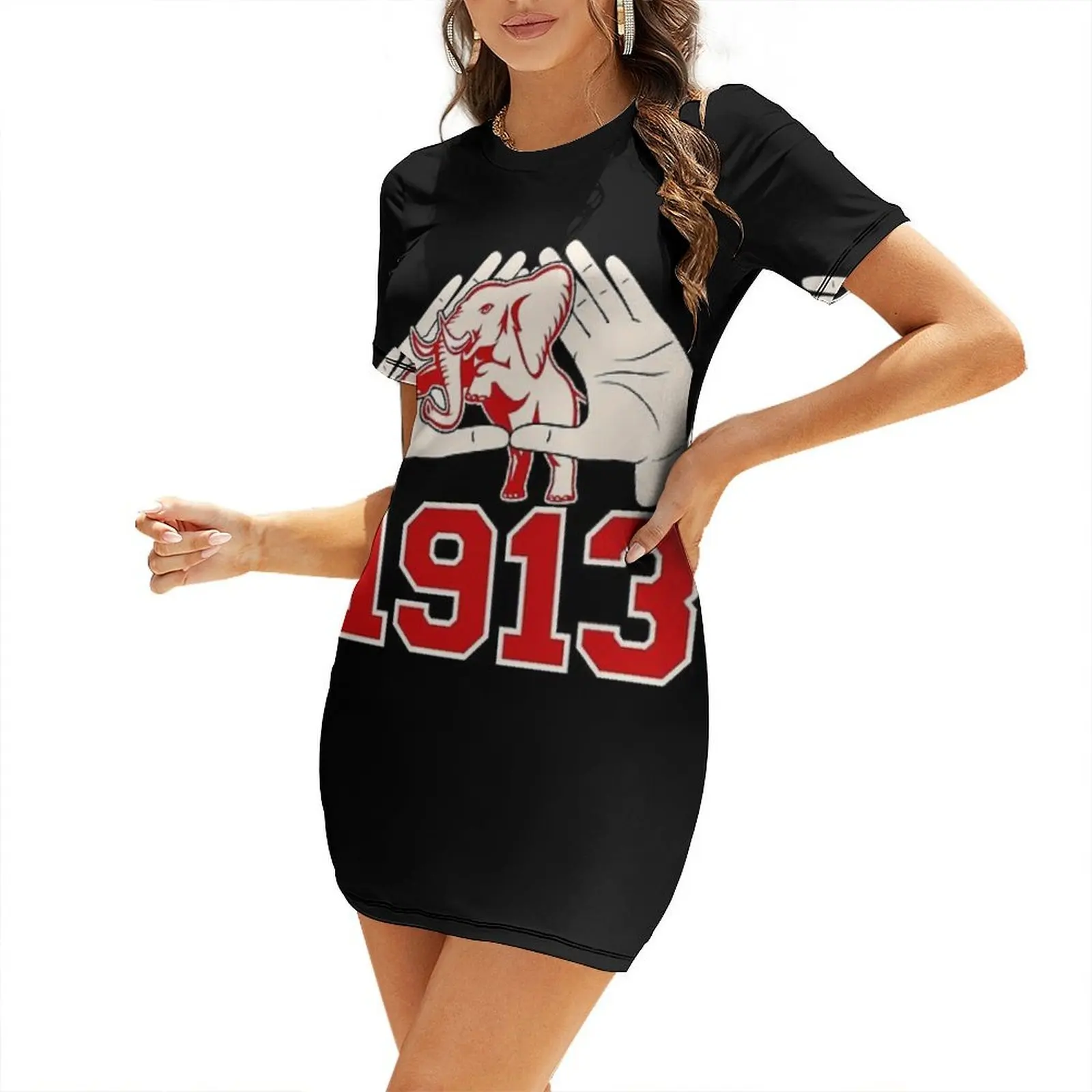 

Delta 1913 Sigma Theta For Fans Short-Sleeved Dress dress for women summer Woman clothing