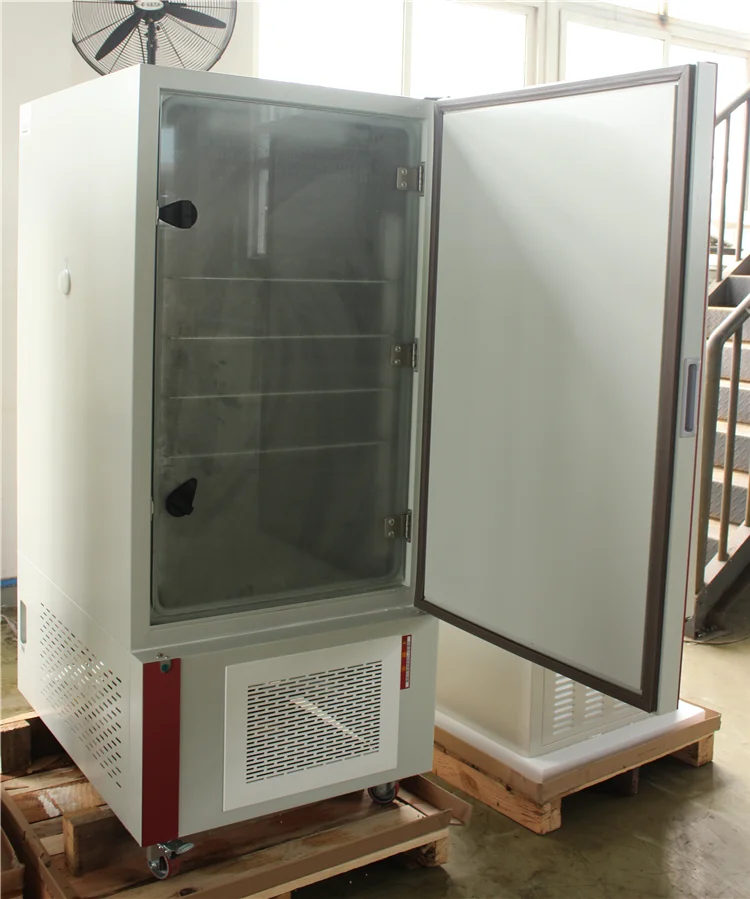 高品質ホット 250L ラボポータブル電気加熱インキュベーター