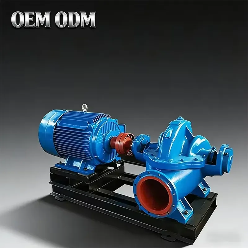 Multistage Ultra High Pressure Double Suction Pump SH Series Stainless Steel High Power for Customized Industrial Boilers