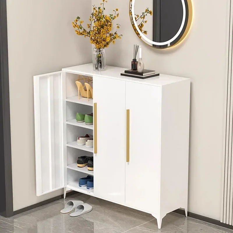 Living Room Storage Shoe Cabinet Designer Multifunctional Entrance Shelf Shoe Cabinets Metal Armoire A Chaussures Furnitures