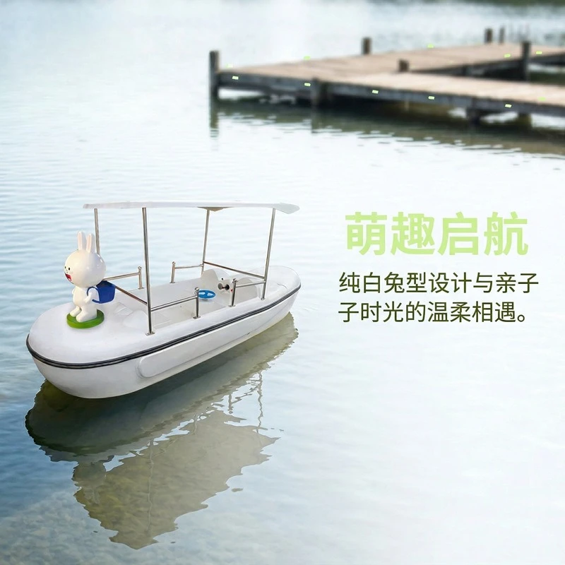 people electric boat on the water entertainment cartoon swan