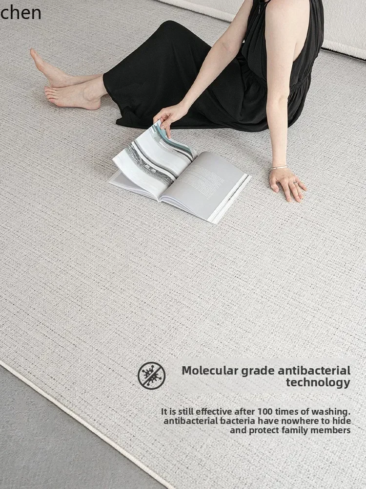 DSA  Carpet Living Room Minimalist Waterproof Wash-Free Light Luxury High-End Sofa Home