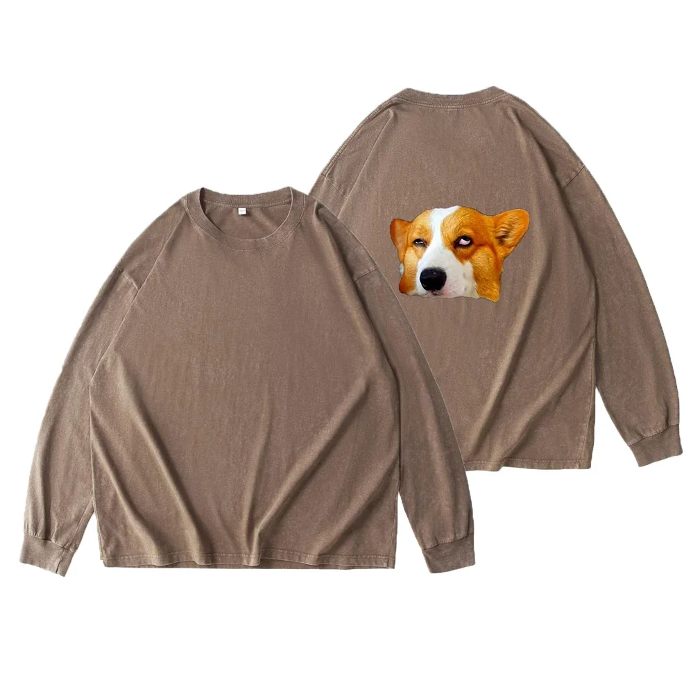 Men 230G Heavy Washed Long Sleeve T-Shirt Vintage Corgi Meme Print Oversized Streetwear Graphic Tee