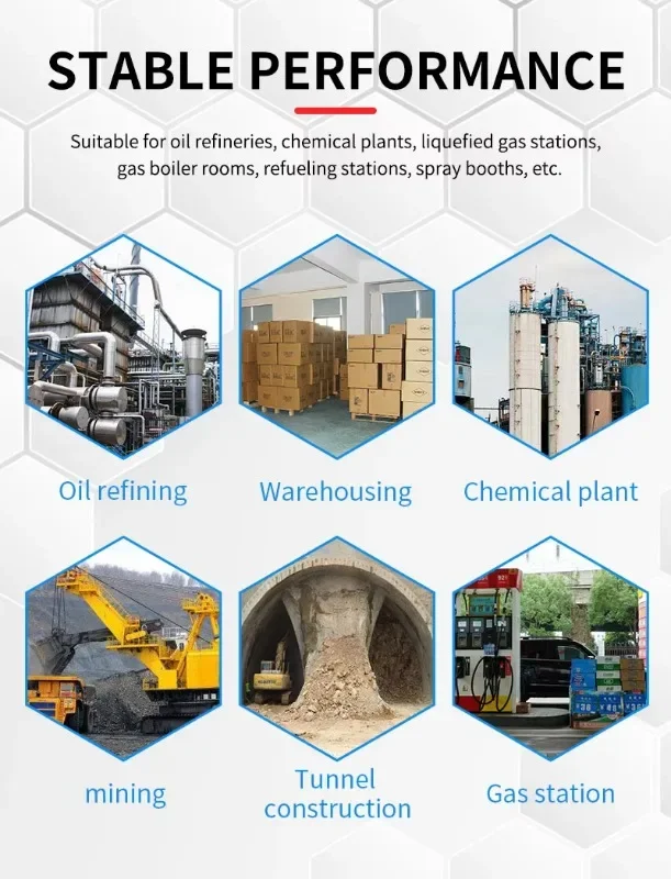 4-in-1 hand-held measuring gas detector