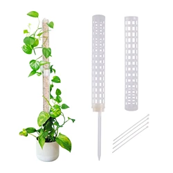 Colonne grimpante pour plantes, poteau en mousse de sphaigne, support de support pour plantes Lauren, navigateur de retenue d'eau, anciers d'extension de plante