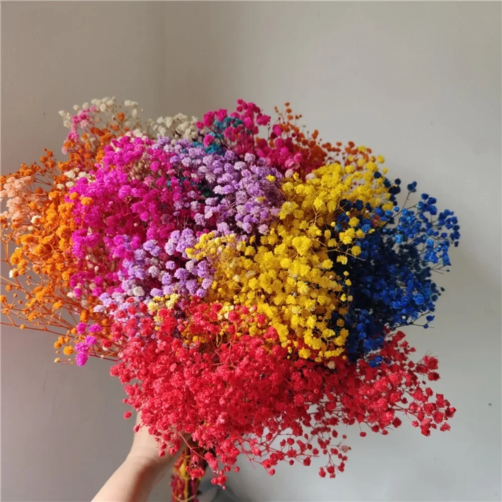 Сохраненный свежий свет для детской фотосессии, свадебное украшение, подарок на день Святого Валентина, домашний декор, натуральный сушеный цветок, гипсофил Сохраненный свежий свет для детской фотосессии, свадебное украшение, подарок на день Святого Валентина, домашний декор, натуральный сушеный цветок, гипсофил