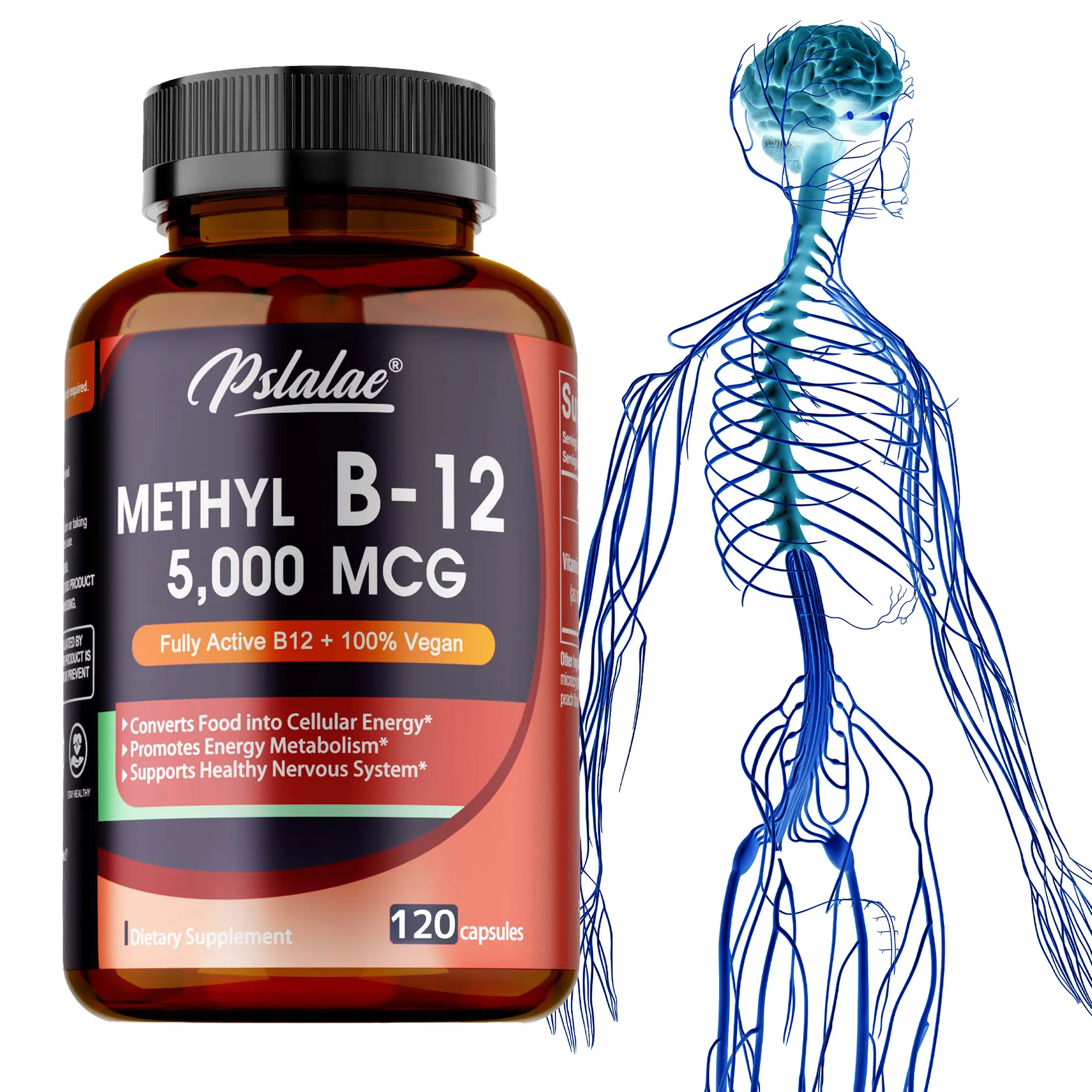 

Витамин B12 — Добавка 5000 MCG — подчеркивает функцию мозга и сердца, поддерживает память, обучение, снижает уровень энергии.