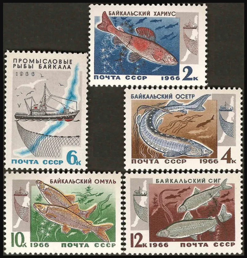 5 unids/set nuevo sello postal CCCP URSS 1966 industria de la pesca en el lago Baikal sellos postales MNH