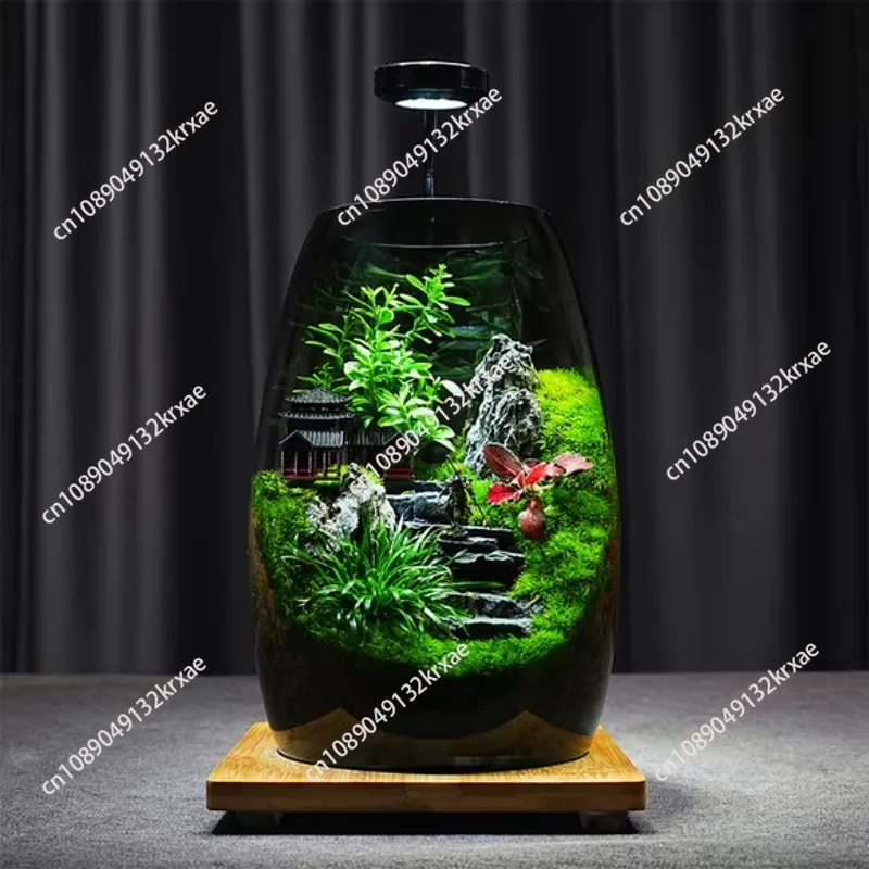 Office Desk Moss Terrarium Kit in Glass Jar Self Sustaining Ecosystem for Home Office Decor Stress Relief Low Maintenance