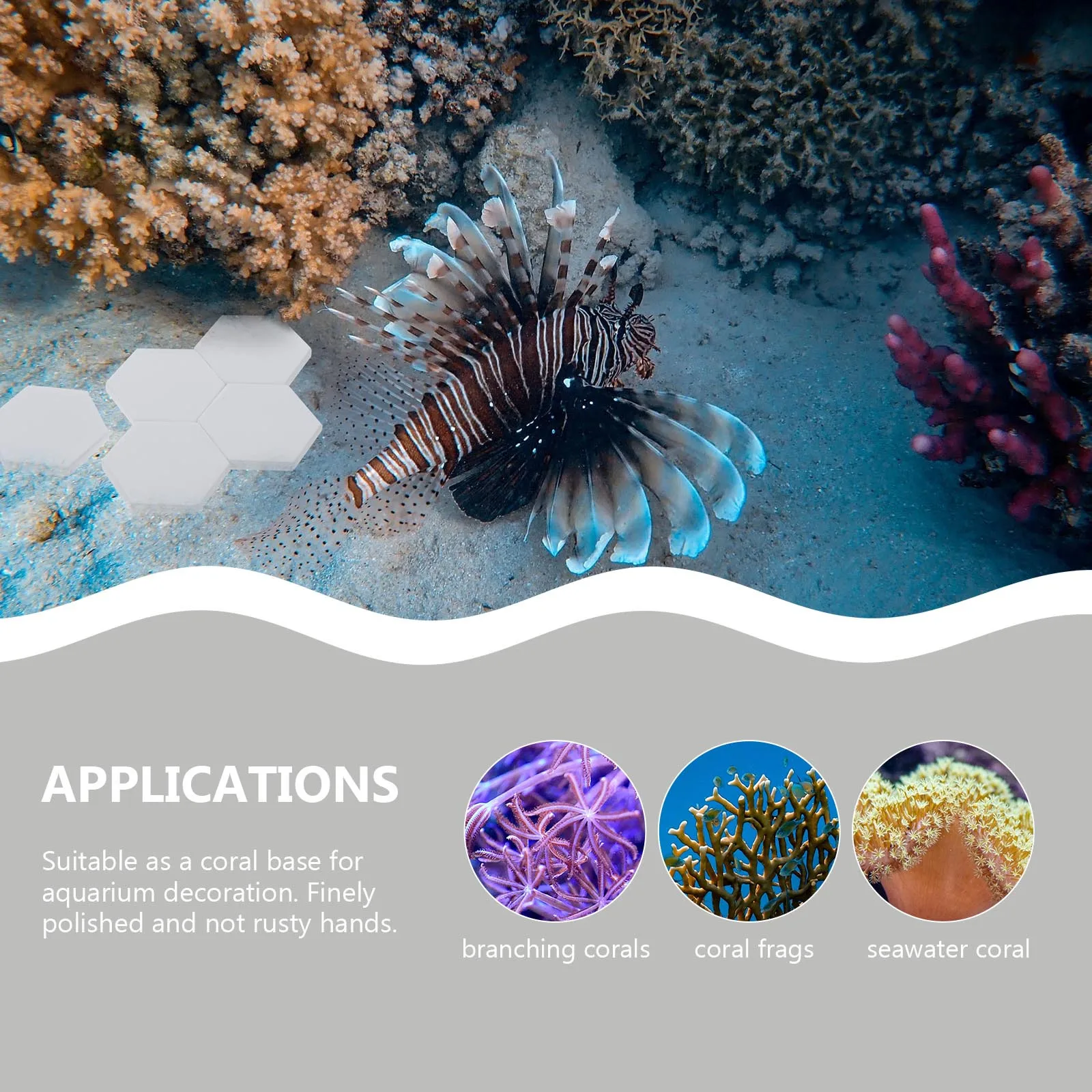 

10Pcs Coral Bases Ceramic Material Lightweight Stable Frag Stand for Aquarium Coral Breeding High Temperature Fired Non-Toxic