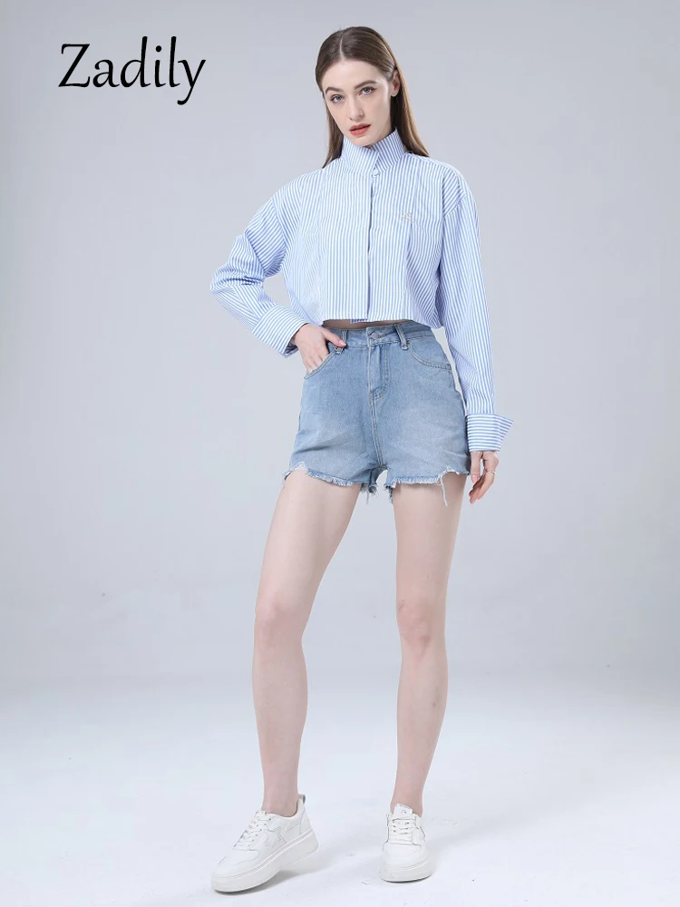 Long Sleeve Striped Shirt Korean Style Button Up Stand Neck Crop Tops Embroidery Ladies Blouse Streetwear Clothing Sumer 2024