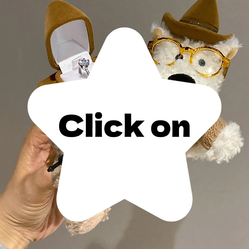 Cute Violin Brown Bear West Highland Dog Plush Doll Ring Display Box Jewelry Organizer Gifts