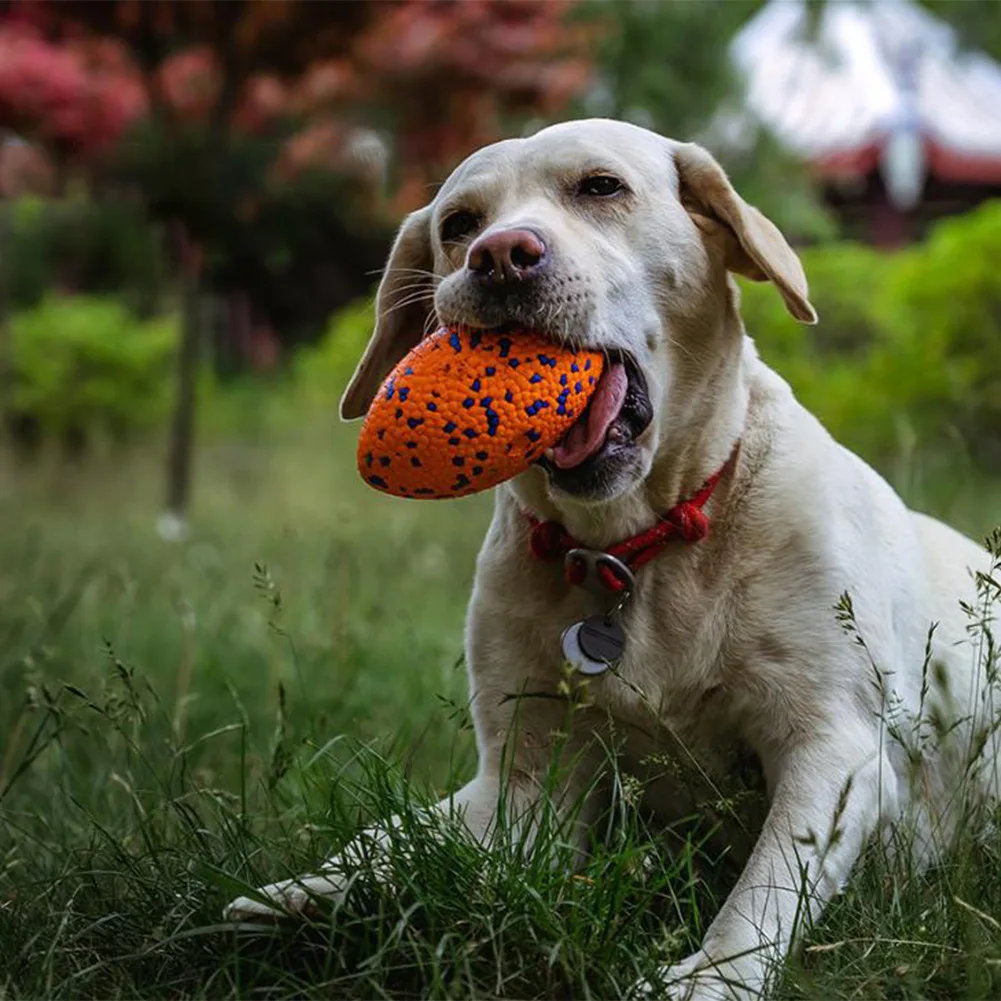 ETPU Dog Ring Toy with Dental Texture - Helps Reduce Plaque Buildup While Providing Satisfying Chew Experience