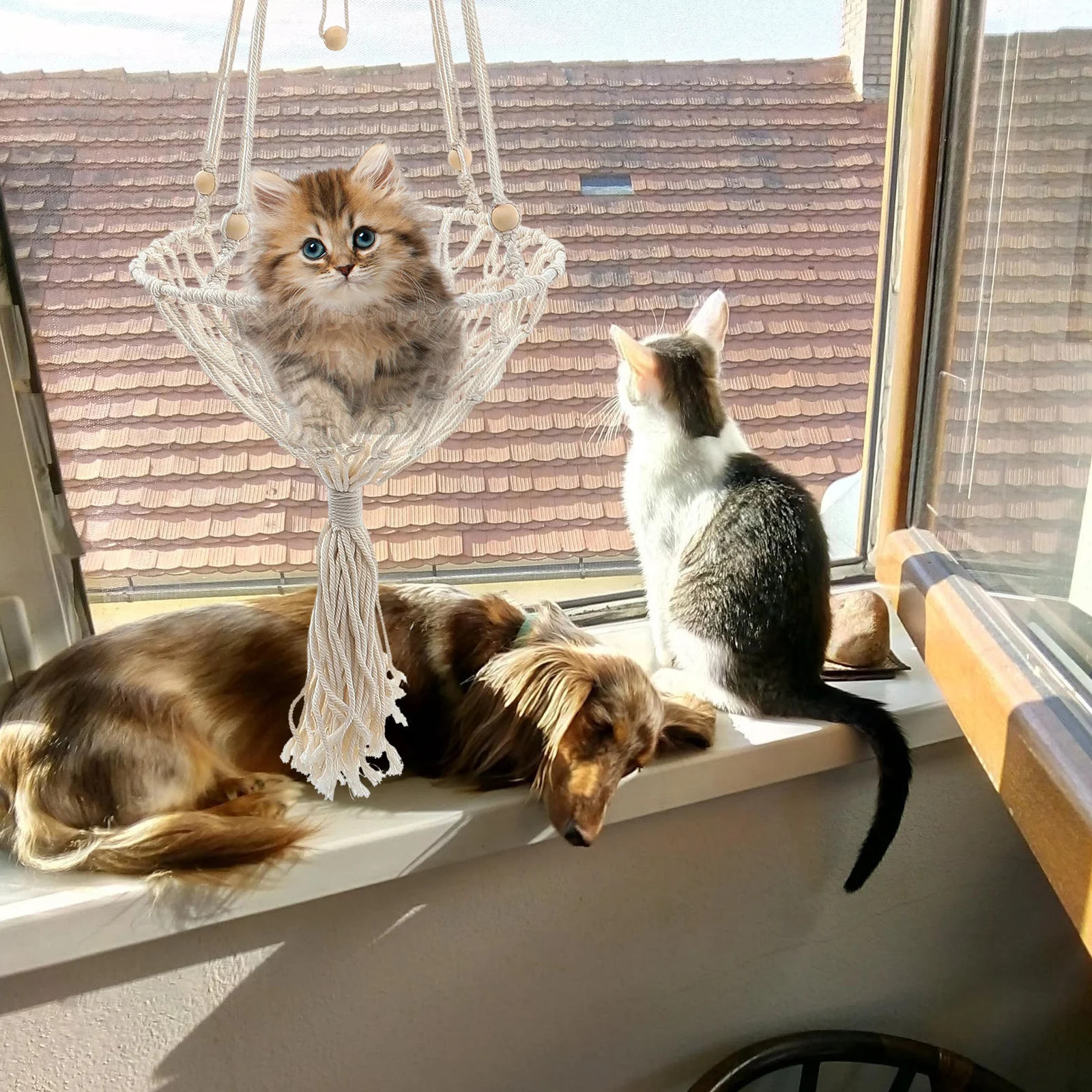 

H Woven Cat Hammock Nest Adjustable Hanging Basket Khaki Bed Indoor Toy Swing Safe Pet Supplies Cat Litter Box Cleaner