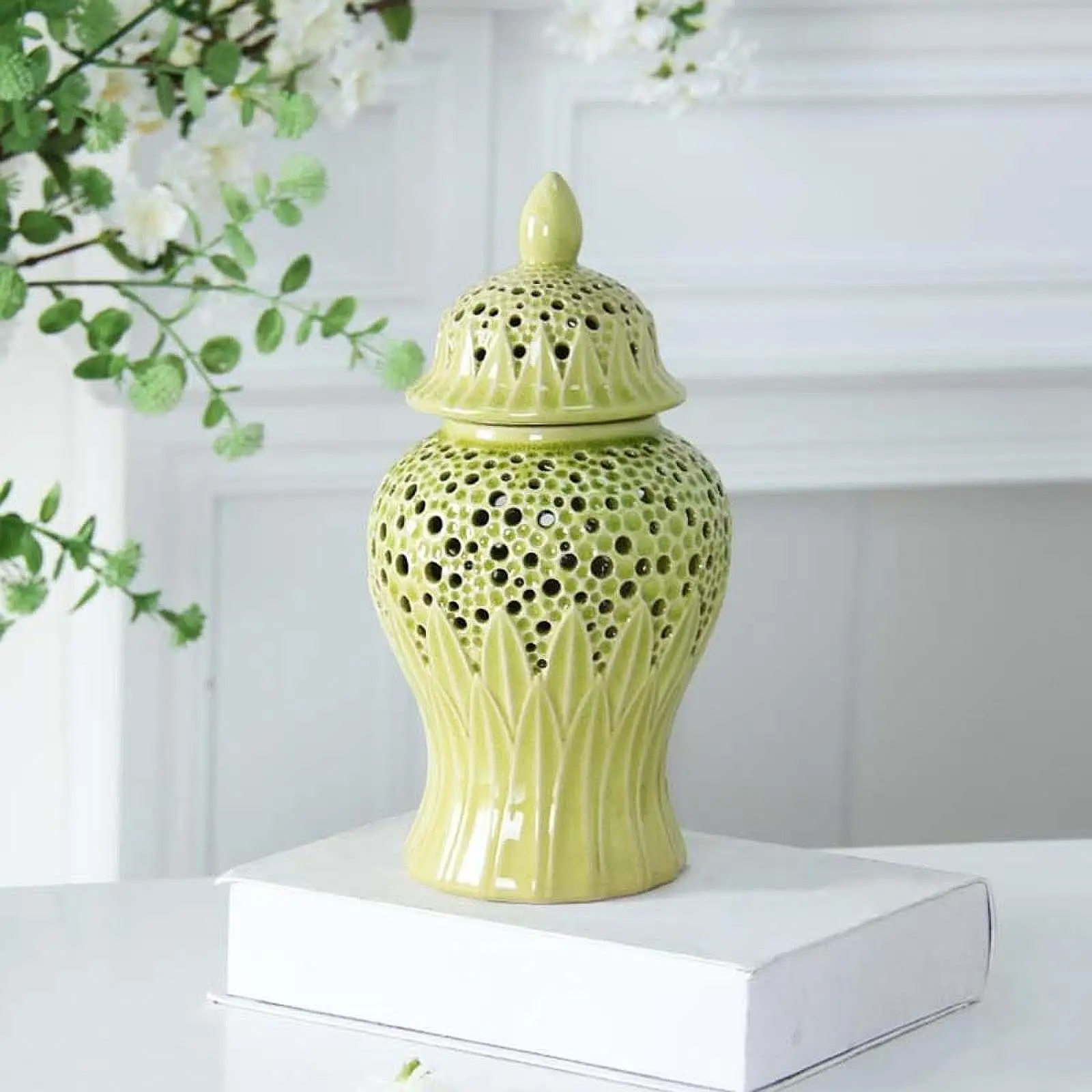 

Ceramic Ginger Jar Display Flower Vase for Living Room Countertop Bookshelf